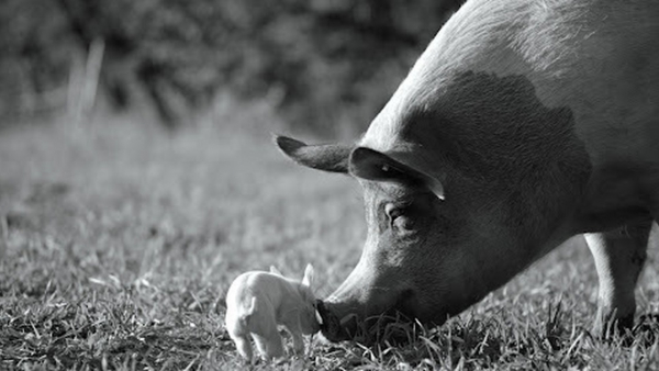 Niezależność na ekranie – co zobaczyć podczas 14.Mastercard OFF CAMERA?