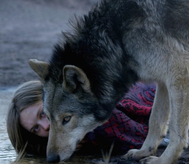 NETIA OFF CAMERA: Kino poza strefą komfortu