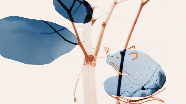 Premiera opery ekologicznej "Szczur i Drzewo" w reż. Roberta Drobniucha - w sobotę