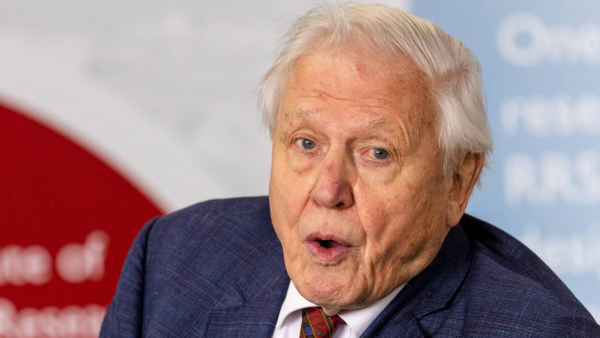 David Attenborough zaniepokojony stworzeniem repliki jego głosu przez sztuczną inteligencję