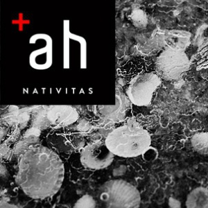 Muzyka dawna w interpretacjach najwybitniejszych światowych i polskich artystów na festiwalu Actus Humanus Nativitas w Gdańsku