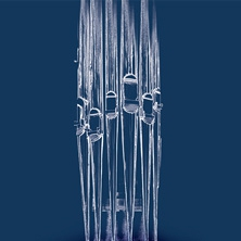 Utwór z poezją papieża na początek festiwalu Non Sola Scripta