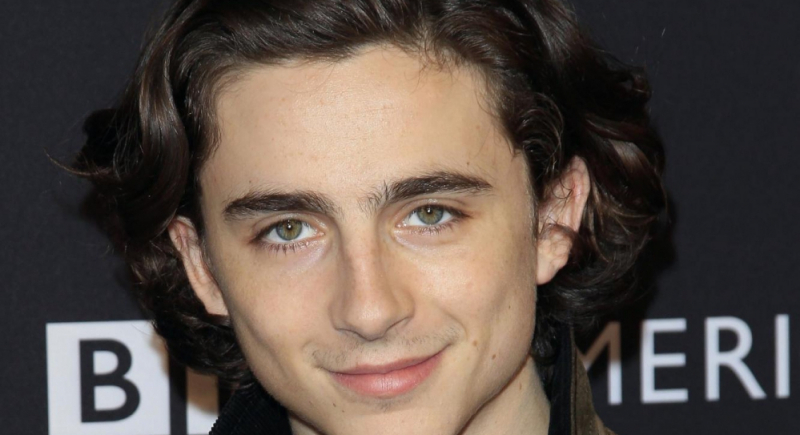 Timothee Chalamet zagra Boba Dylana w nowym filmie Jamesa Mangolda