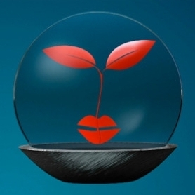 Znamy nominowanych do Nagrody im. Wisławy Szymborskiej!