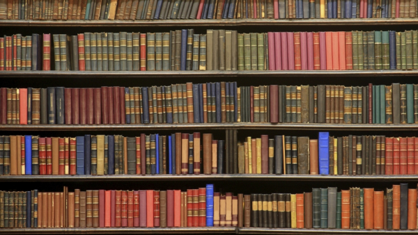 Nadchodzi Noc Bibliotek