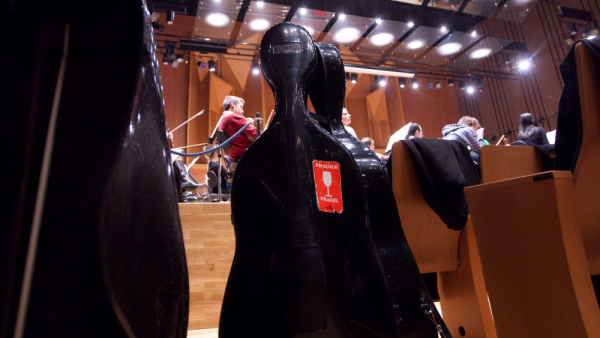 Yamaha ostrzega, że w futerałach na instrumenty nie należy przemycać ludzi