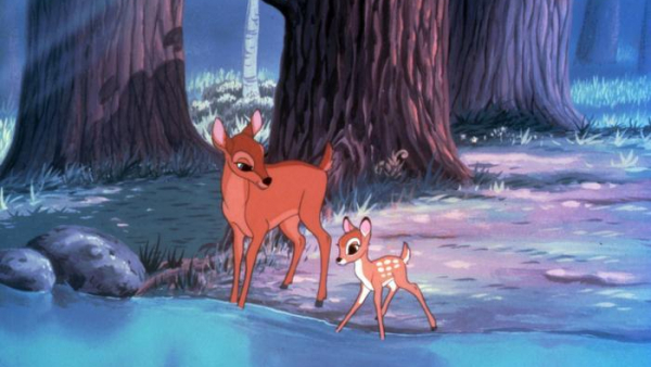 Kłusownik skazany na oglądanie "Bambiego"