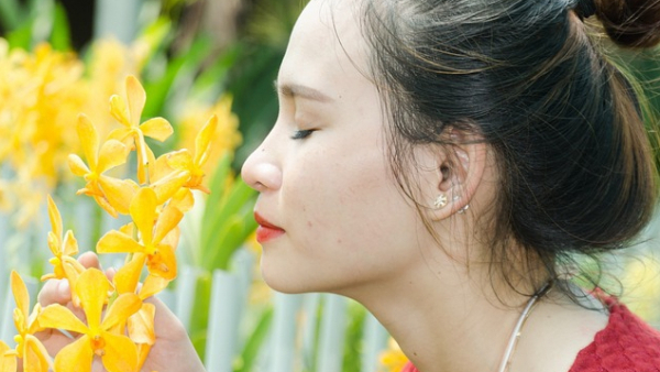 Tajemniczy świat storczyków na wystawie w Łodzi