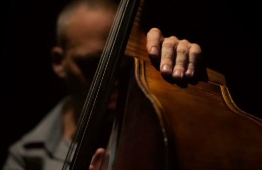 Izraelski kontrabasista Avishai Cohen wystąpi w muzeum POLIN