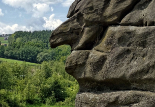 Zdjęcie