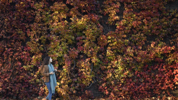Jesienna melancholia zwiększa popyt