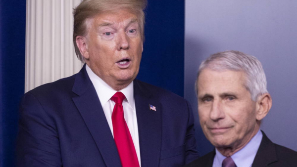 Brad Pitt zagrał znanego lekarza w programie kabaretowym. I zadrwił z Trumpa