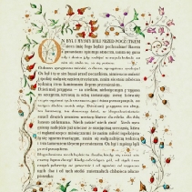 "Kształty polskich liter" - wystawa w Muzeum Narodowym we Wrocławiu