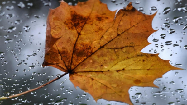 Jesień najlepszą porą do nauki