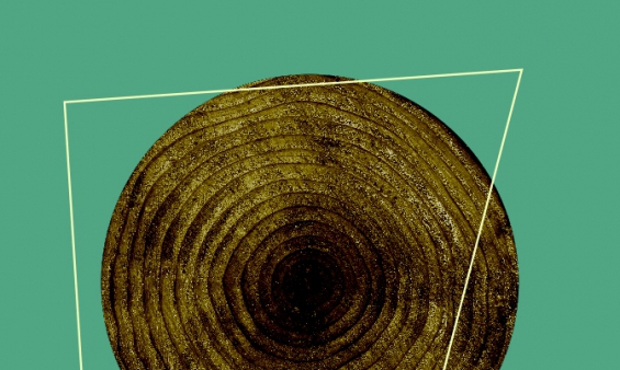 "Warszawska Jesień" po raz 57. w stolicy