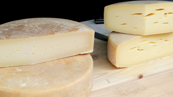 Szwajcarzy chcą polepszyć smak serów dzięki… muzyce